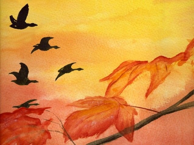Рисование улетают птицы