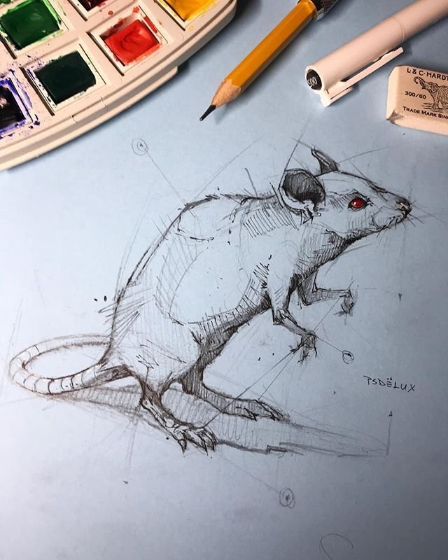 Прикольные идеи для рисования