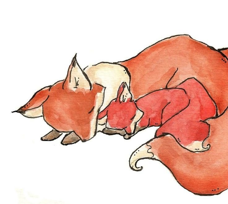 Лиса спит рисунок