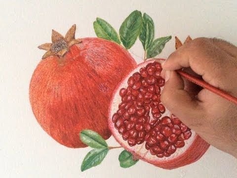 Гранат рисунок цветными карандашами