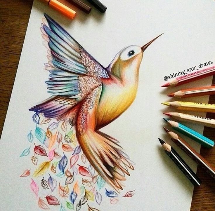 Самые красивые птиц