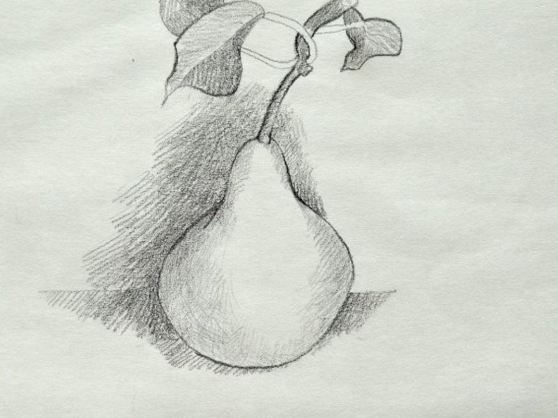 Рисунок фруктов карандашом