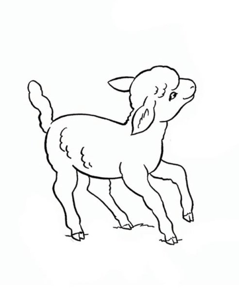 Козлик раскраска