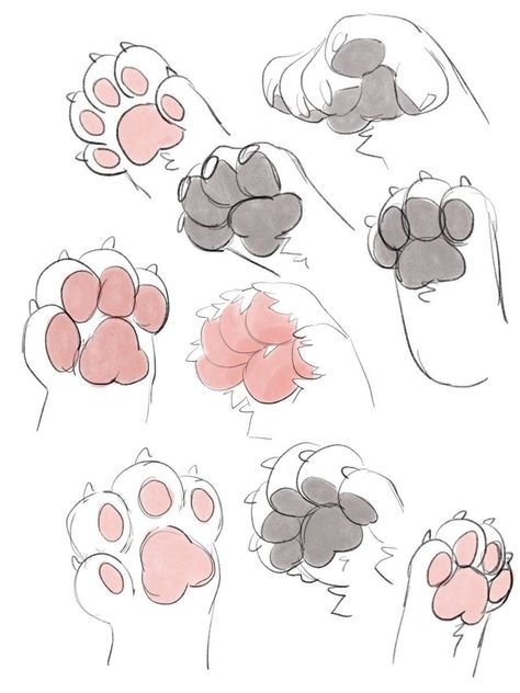 Кошачьи лапки референс
