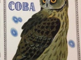 Бианки в. "Сова"