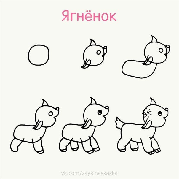 Козленок легкие
