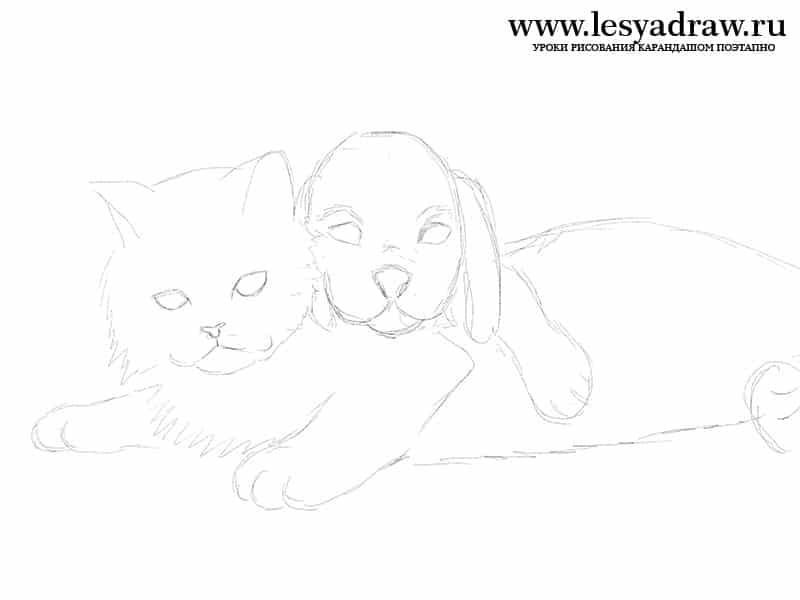 Кошка и собака рисунок карандашом