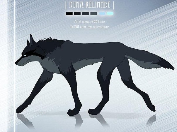 Волк арт в полный рост