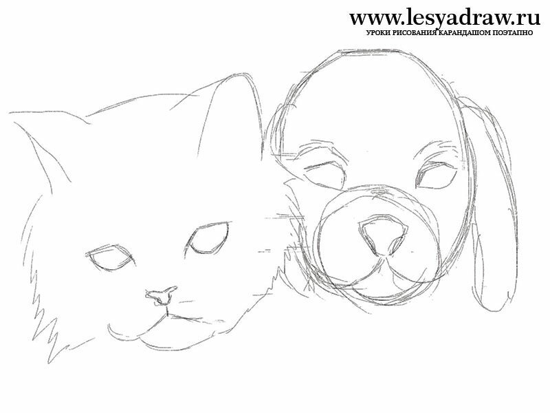 Рисунок кота для срисовки