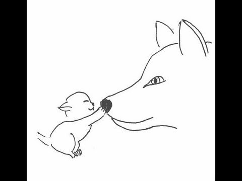 Рисунок кота и собаки легко