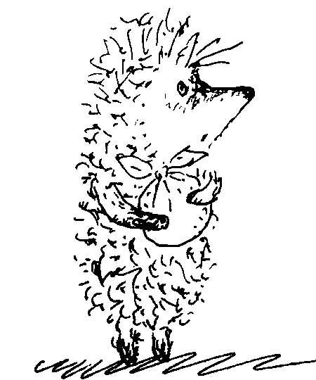 Ежик рисунок