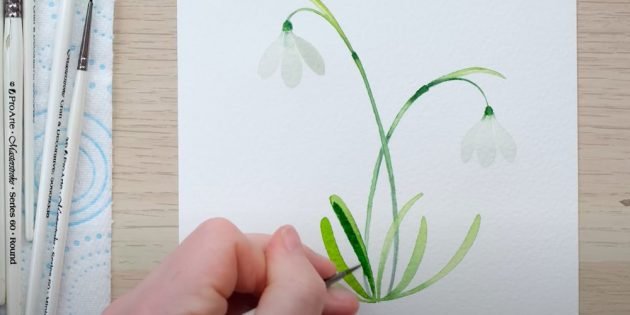 Подснежники поэтапно для детей