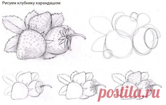 Как нарисовать клубнику карандашом