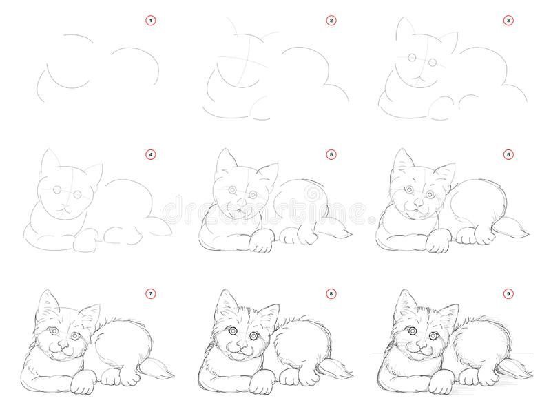 Рисунки котят для срисовки