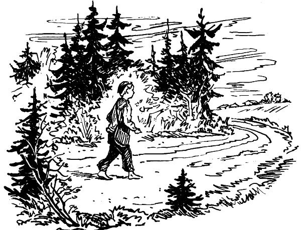 Николай Алексеевич Некрасов школьник