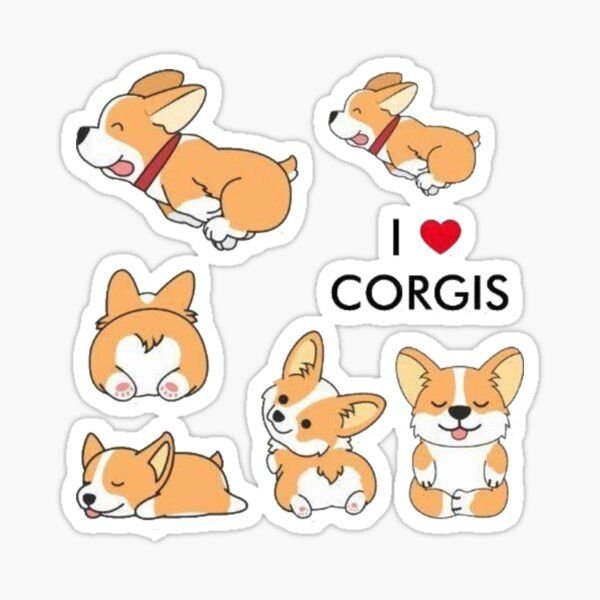Сет корги