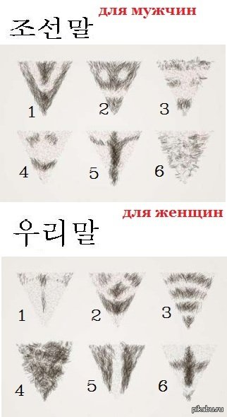 Мужские интимные стрижки
