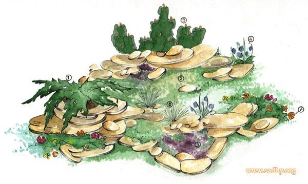 Эскиз альпийской горки