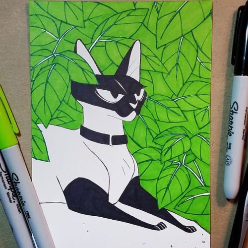 Идеи для рисунков кот дремот