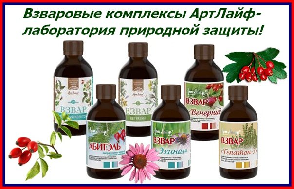 Взвары арт лайф