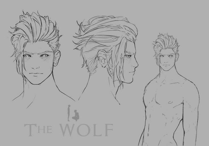The boy and the Wolf комикс