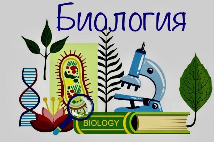 Биология рисунки