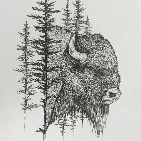 ЗУБР В графике