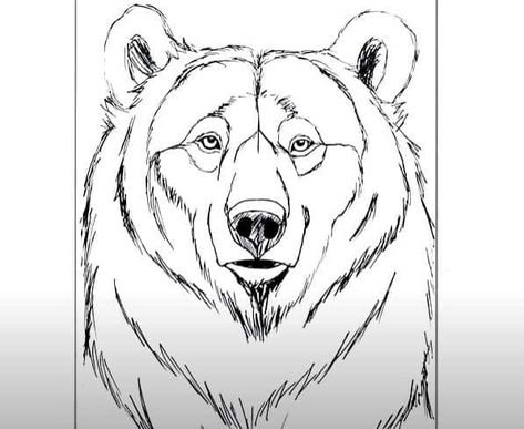 Медведь рисунок карандашом