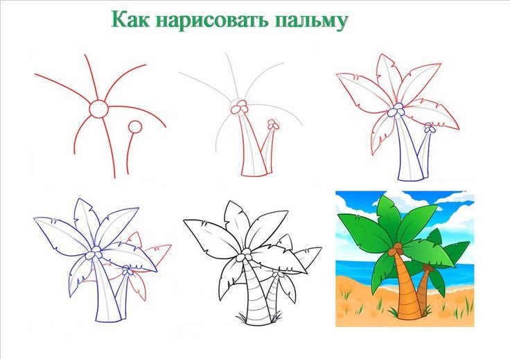 Пальма рисунок карандашом