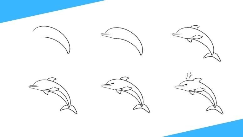 Дельфин рисунок карандашом