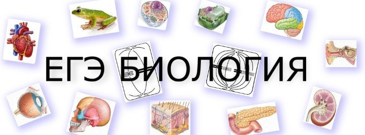 Картинки для ЕГЭ по биологии
