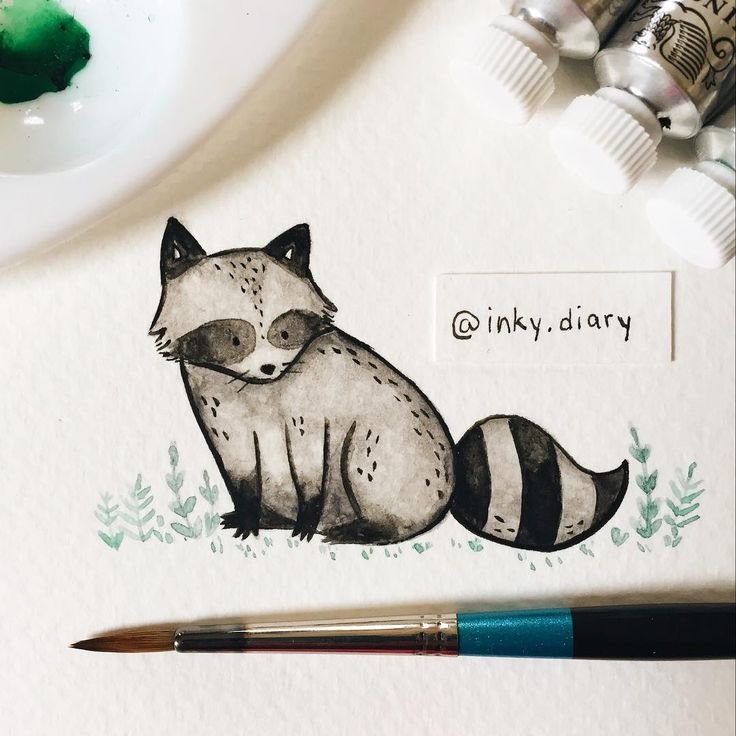 Милый Енотик рисунок