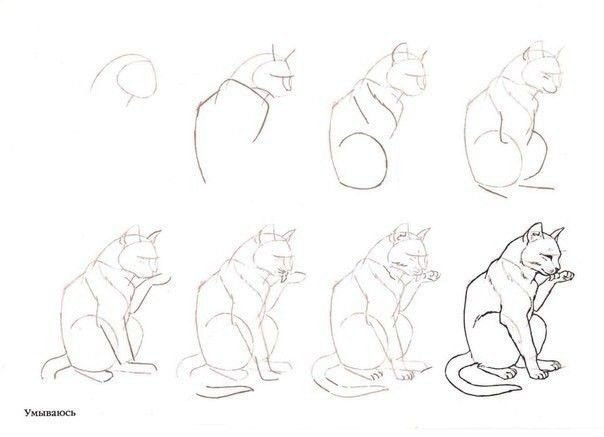 Кошка рисунок карандашом
