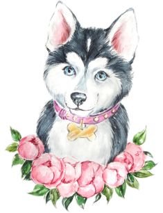 Милые рисунки хаски