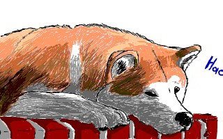 Хатико рисунок