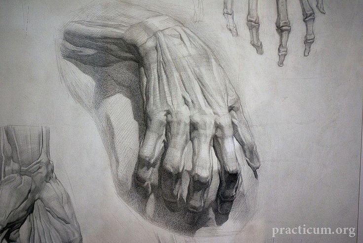 Экорше кисти руки