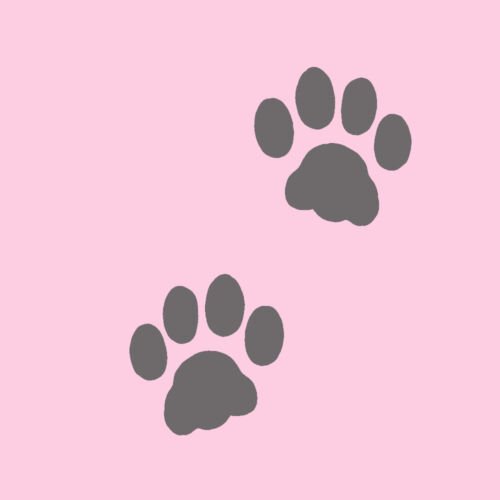 Кошачья лапа