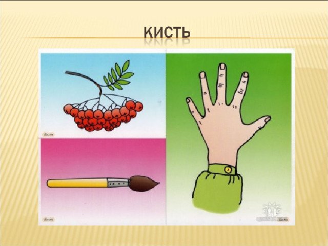 Многозначные слова для детей