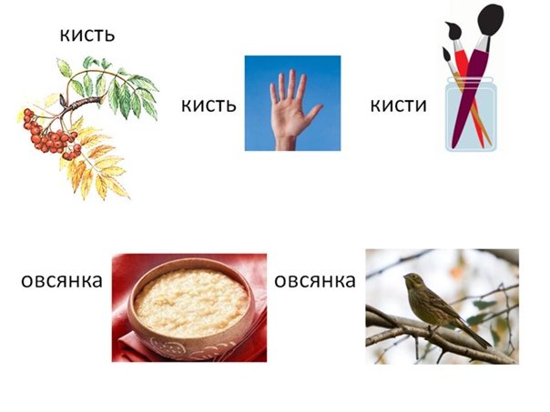 Омонимы примеры для детей