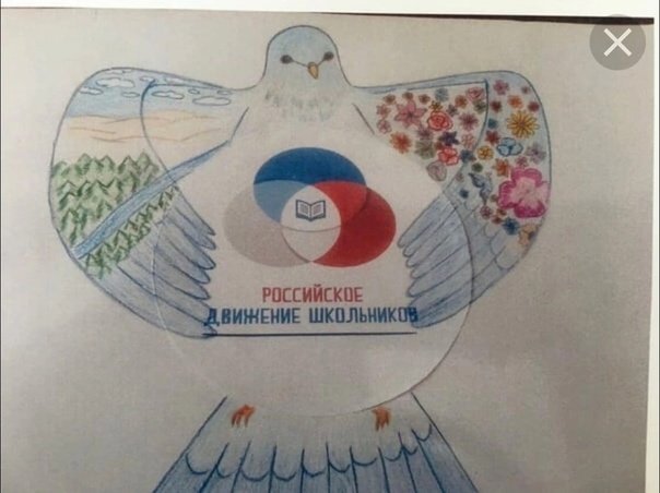С днём рождения РДШ рисунки