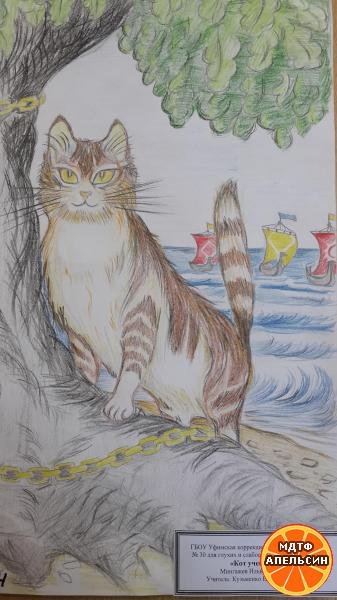 Кот учёный рисунок карандашом