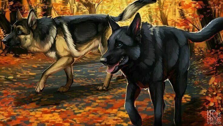 Хроники стаи арт Бруно