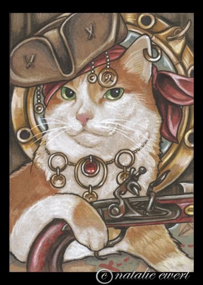 Котик пират арт