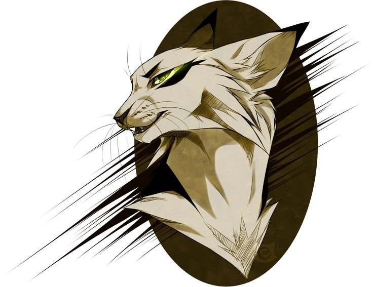 Кот воитель Долгохвост