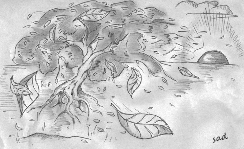 Рисунки для срисовки природа