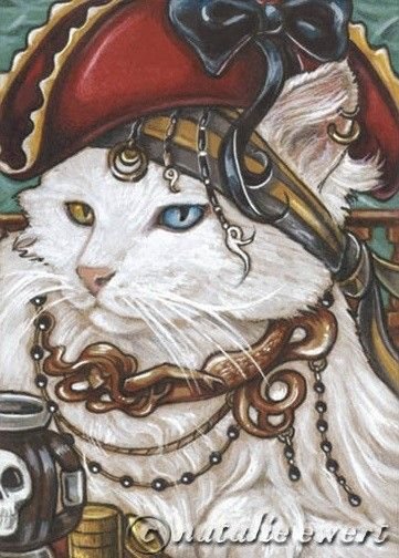 Кот пират