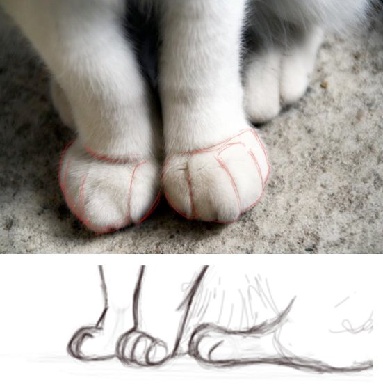 Кошачьи ноги