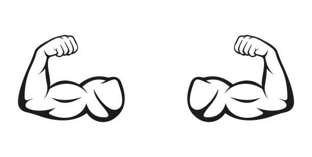 Бицепс нарисованный