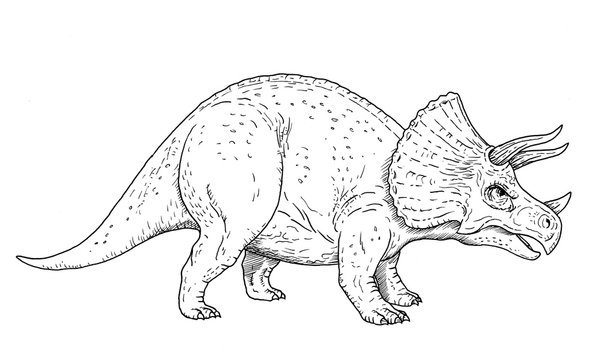 Динозавр рисунок