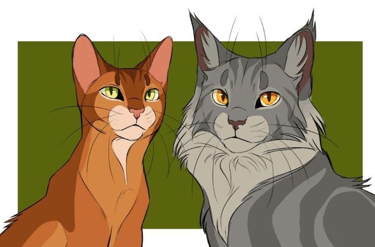 Коты Воители Огнезвёзд